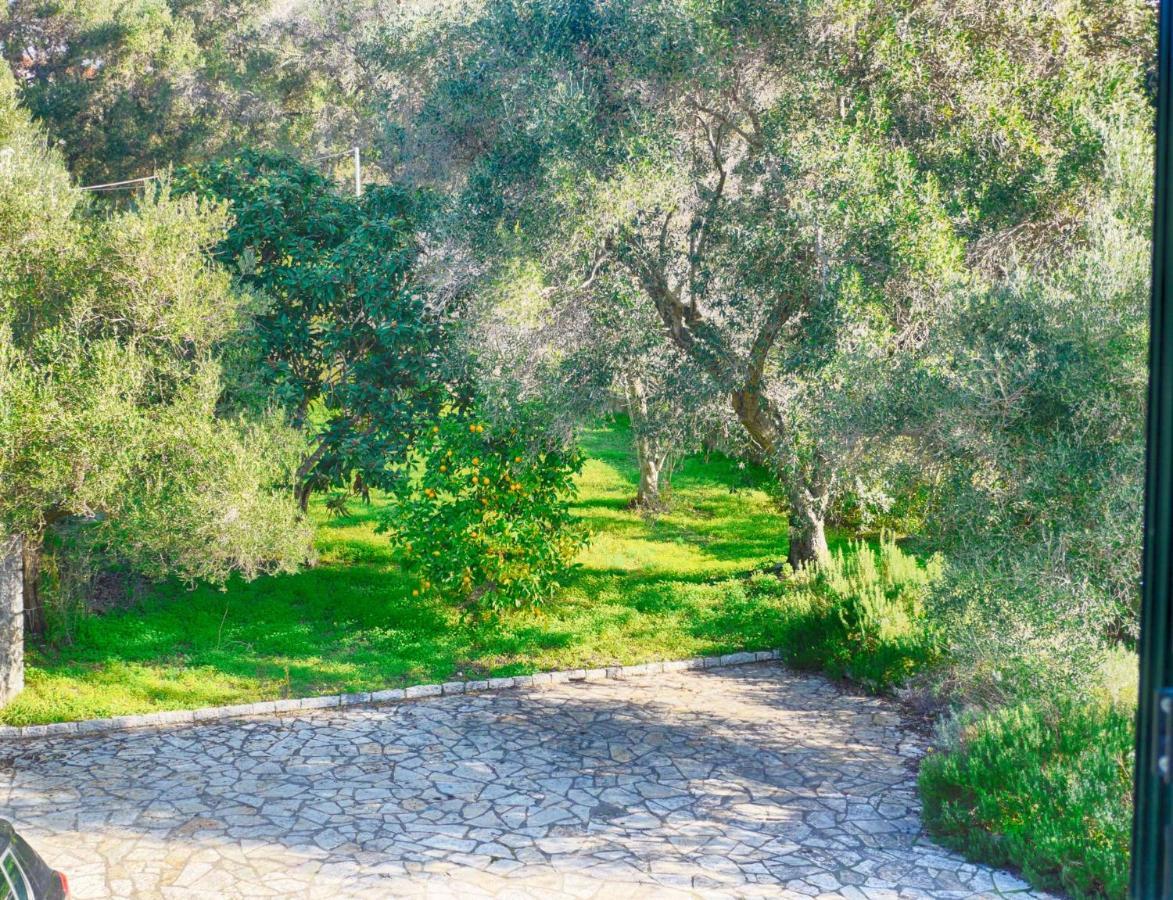 Villa Afionas - 3 Minutes From The Beach With Heated Eco-Pool And Sunset View Exterior photo